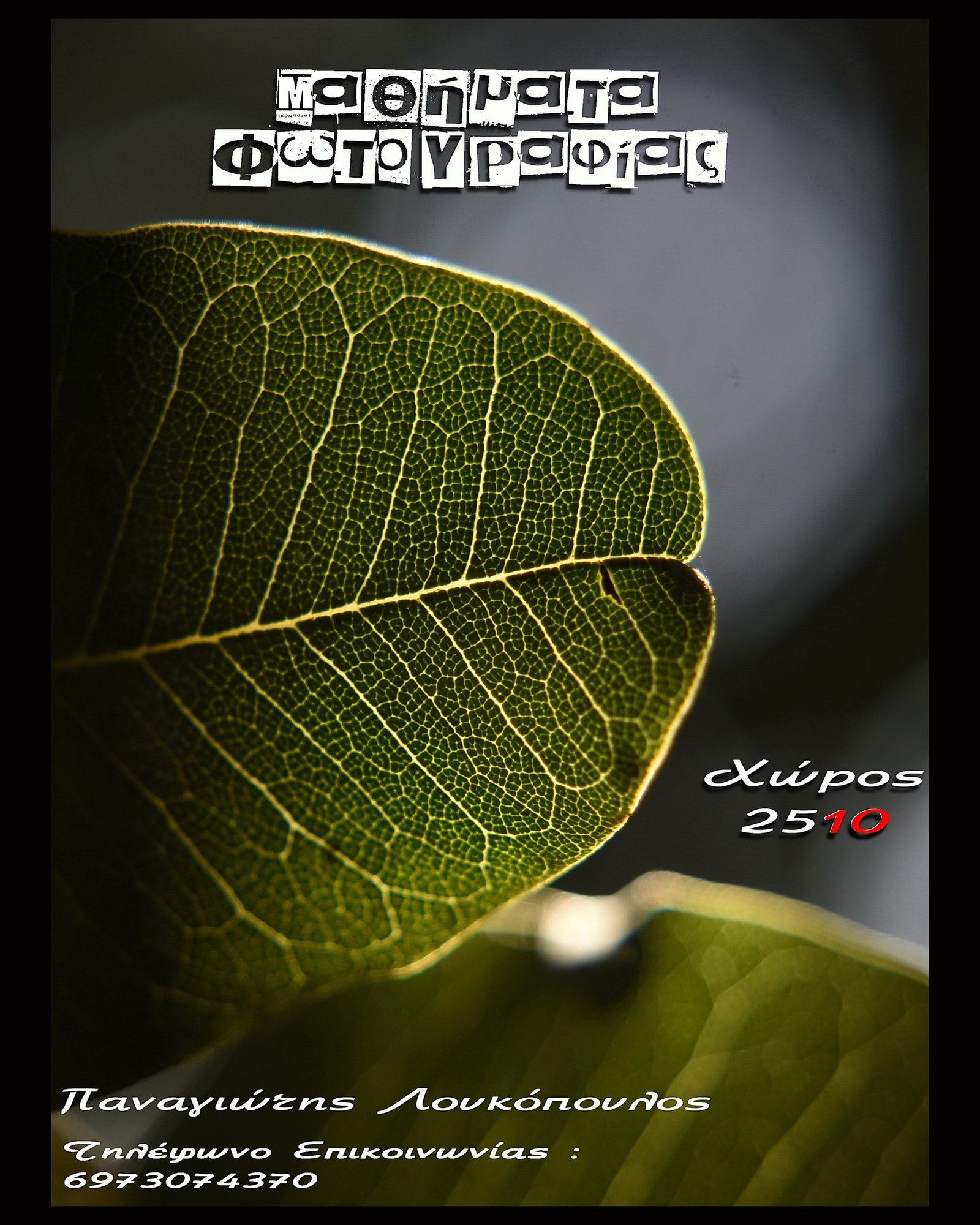 Αφίσα: Φωτογραφία